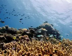 米兰体育官网关于这也行?穆雷在切尔西比赛中伤愈复出曼城内部会议纪要流出——今晚遗憾出局,风云突变上海海港今晚主帅复盘的信息